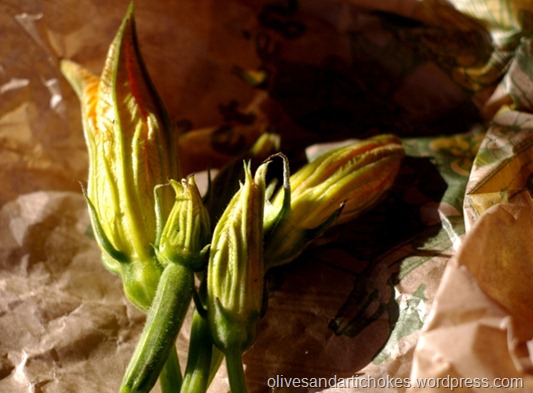 courgette flowers1